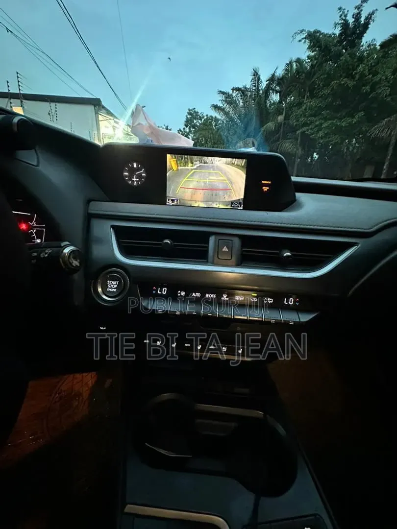 Lexus UX 2020 Autre