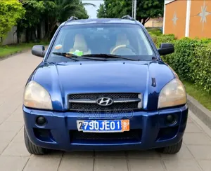 Hyundai Tucson 2007 Bleu