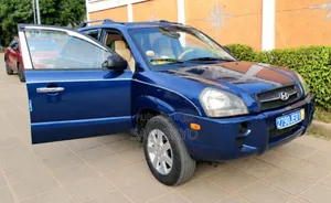 Hyundai Tucson 2007 Bleu