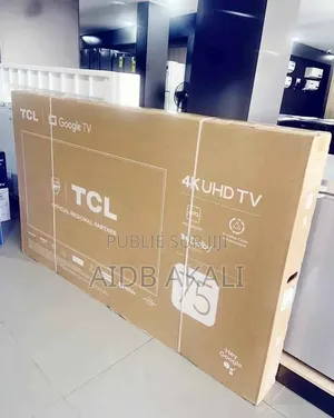Télévision