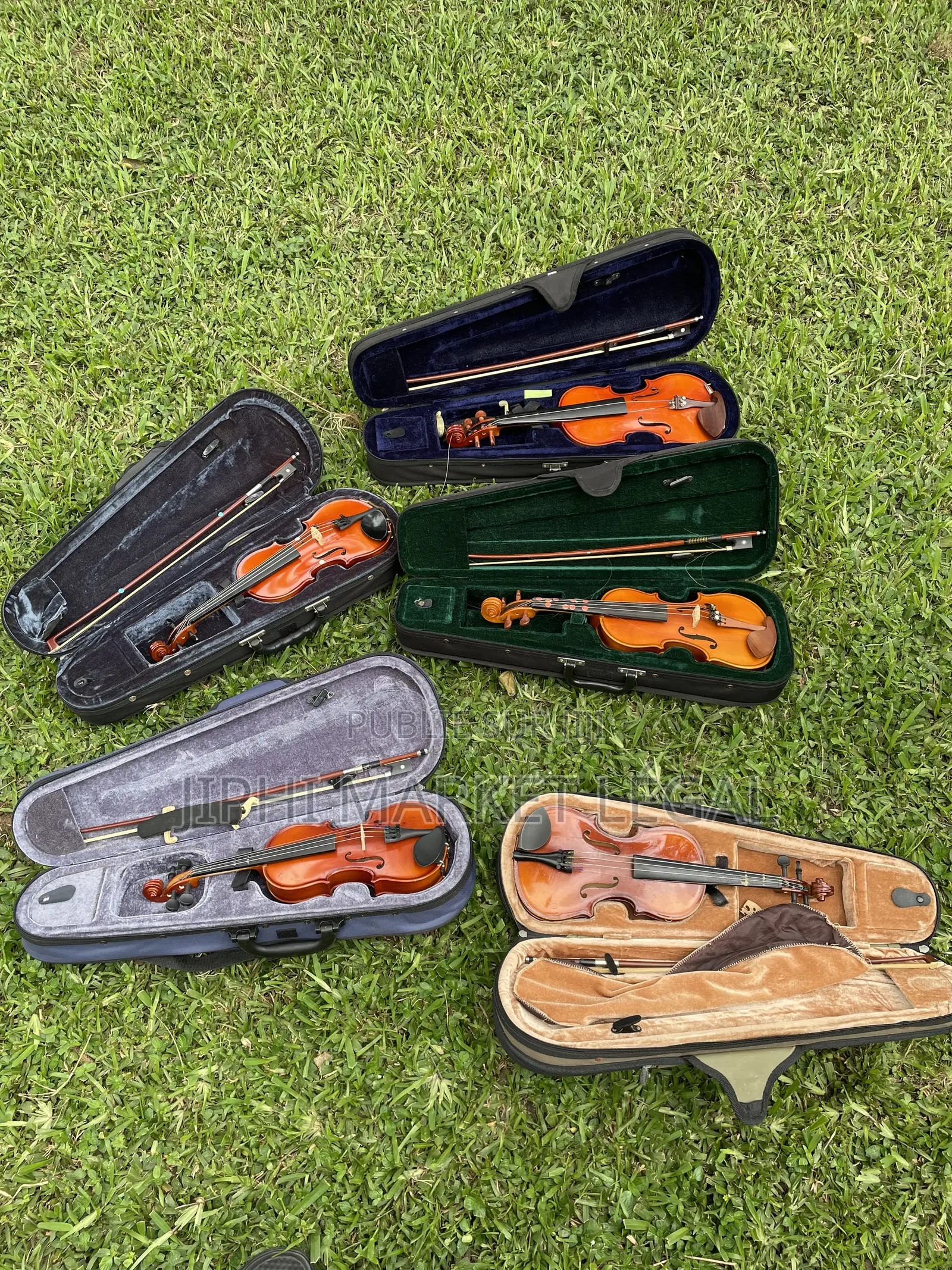 Violon À Moindre Coût Pour Adulte