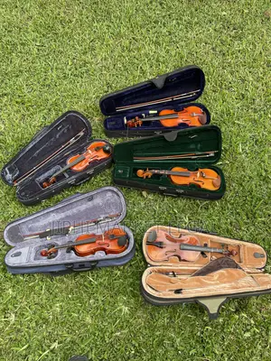 Violon À Moindre Coût Pour Adulte