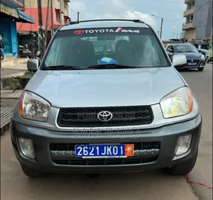 Toyota RAV4 2005 Gris