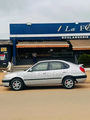 Toyota Corolla 2002 Gris