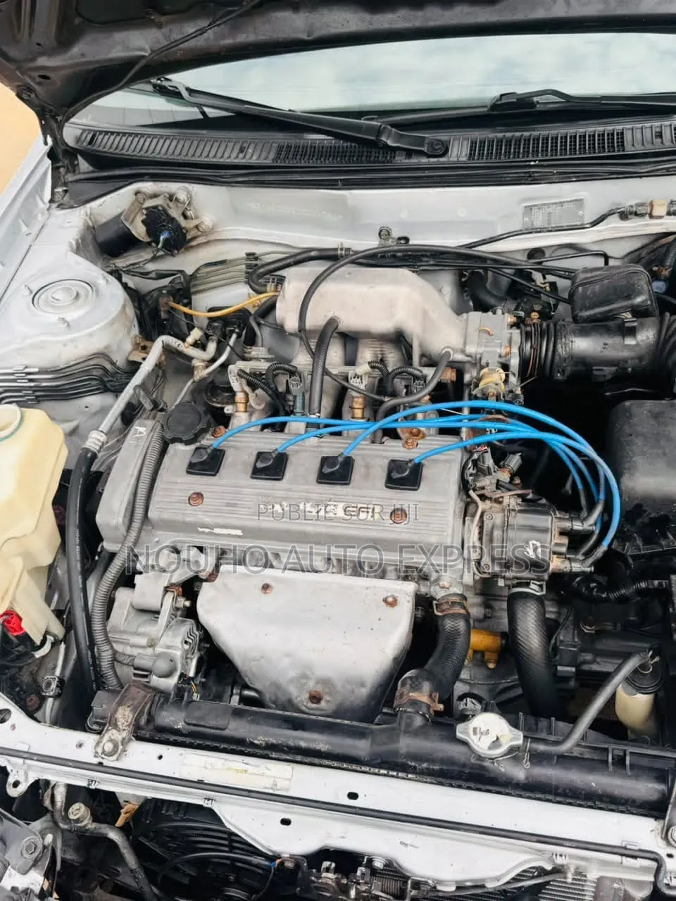 Toyota Corolla 2002 Gris