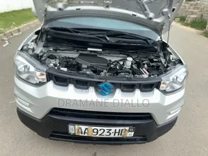 Suzuki S-Presso 2024 Gris