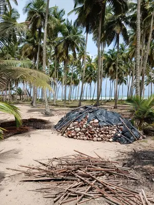 *OPPORTUNITÉ – ASSINIE ÎLE DE FRANCE (Bordure Lagune Mer)* Superfi