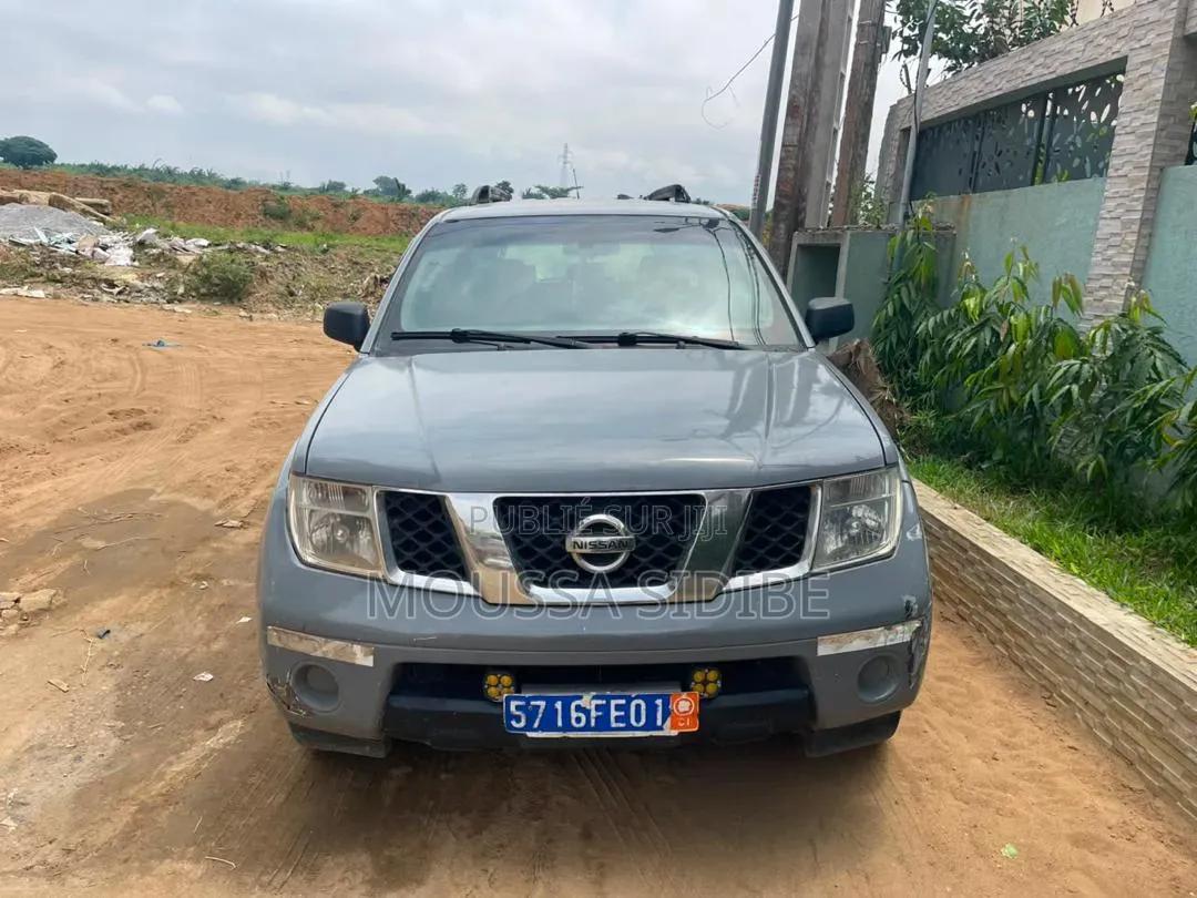 Nissan Pathfinder 2005 Bleu