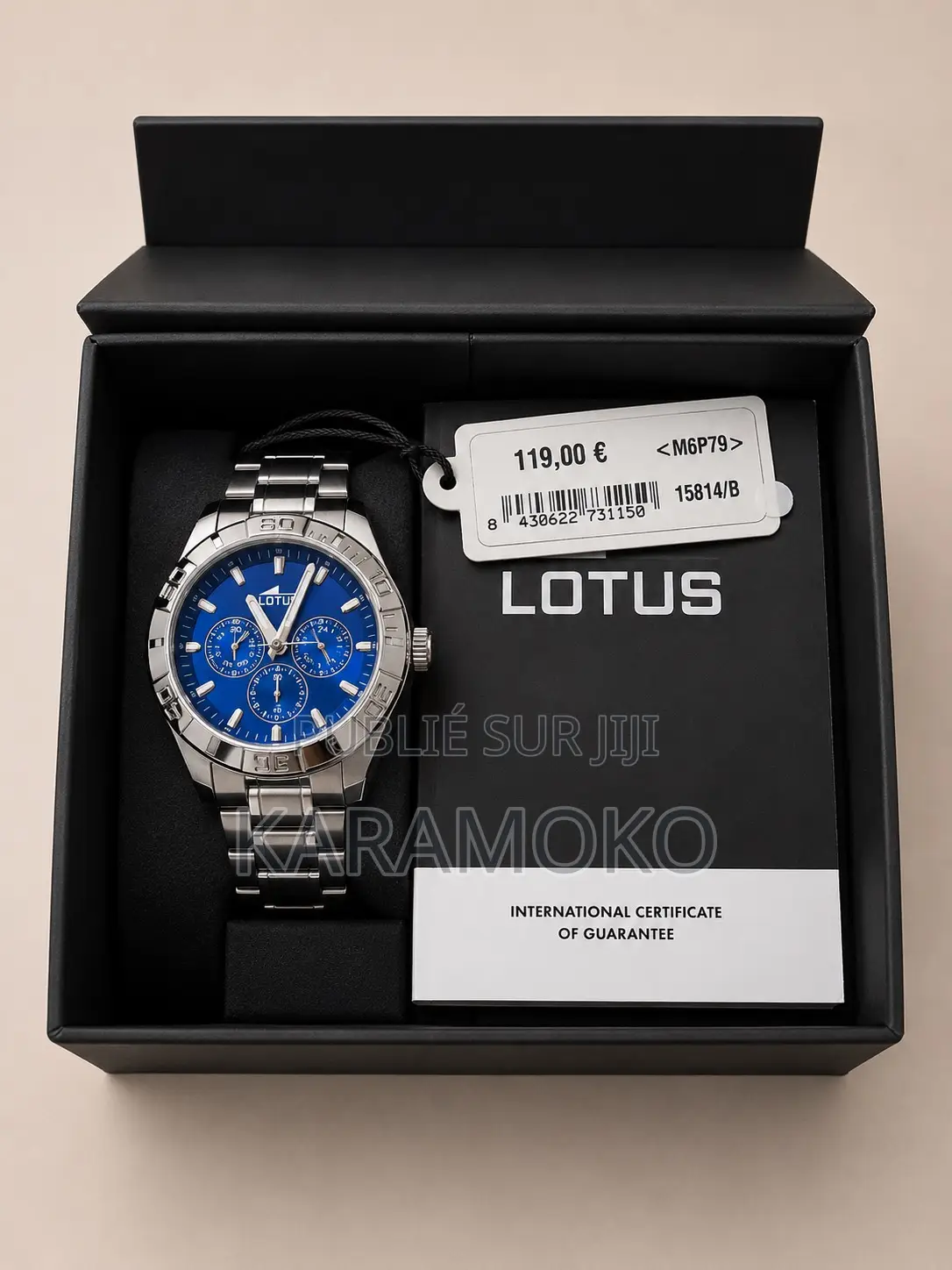 Montre Importe De Marque Suisse