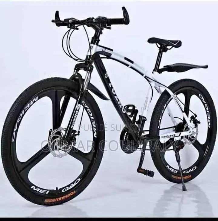 Vélo Roland