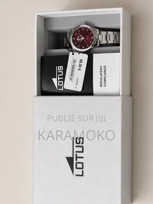 Montre Importer Suisse