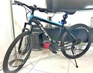 Vélo Roland