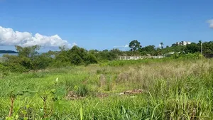 Terrain De 3000 M2 Avec ACD À Songon