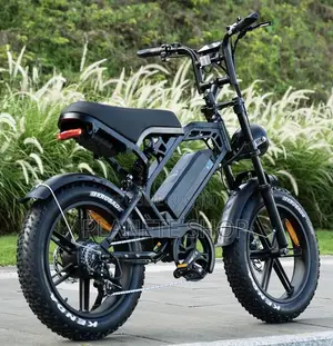 Vélo Électrique Fat Bike