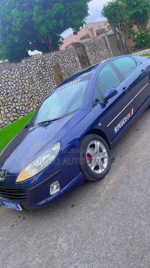 Peugeot 407 2001 Bleu