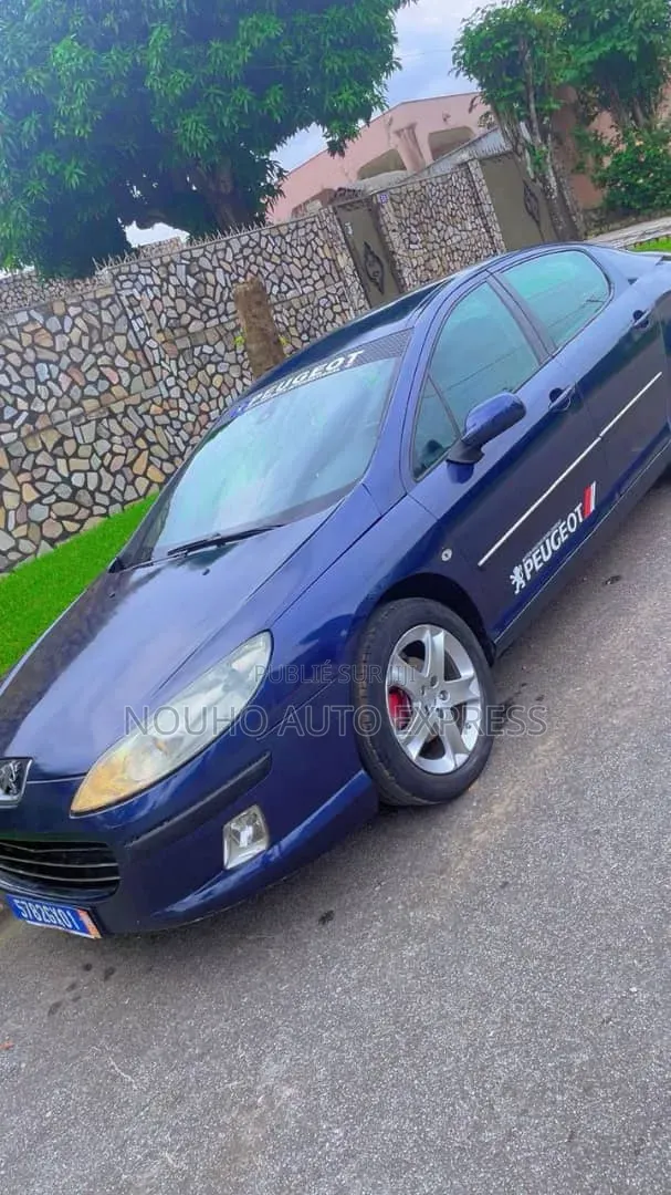Peugeot 407 2001 Bleu