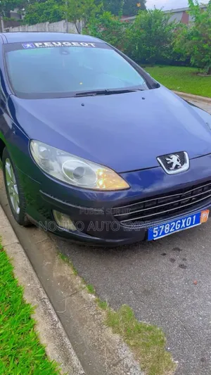 Peugeot 407 2001 Bleu