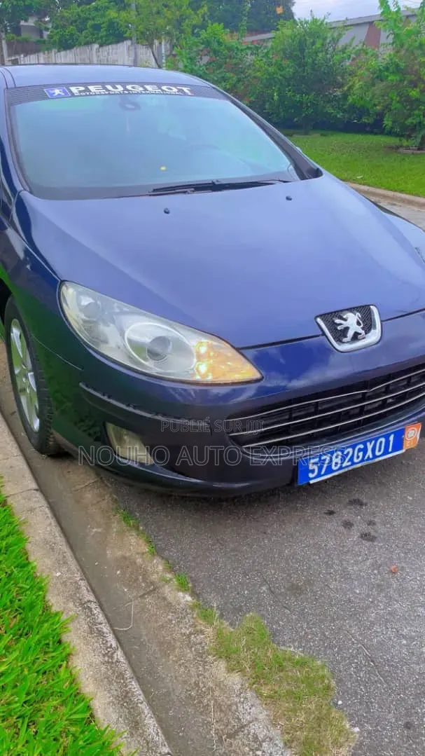 Peugeot 407 2001 Bleu