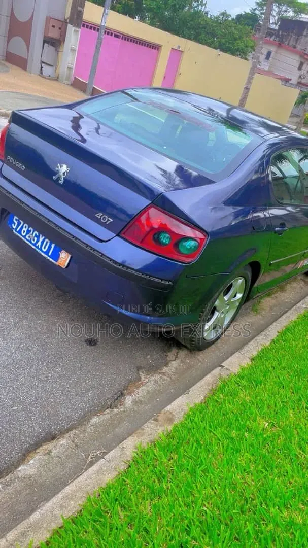 Peugeot 407 2001 Bleu