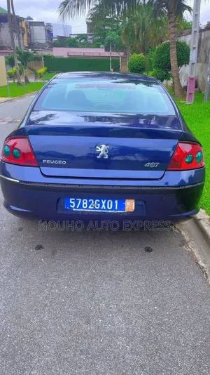 Peugeot 407 2001 Bleu