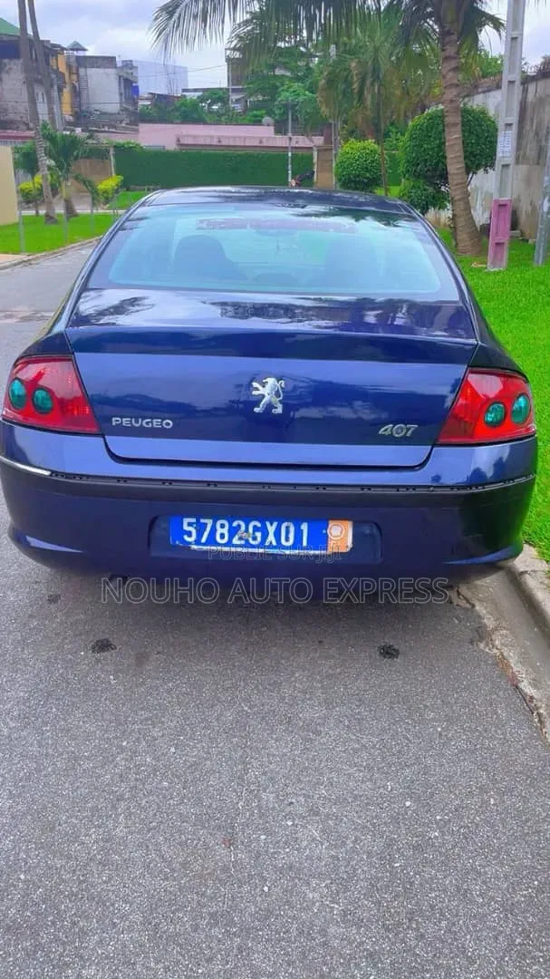 Peugeot 407 2001 Bleu