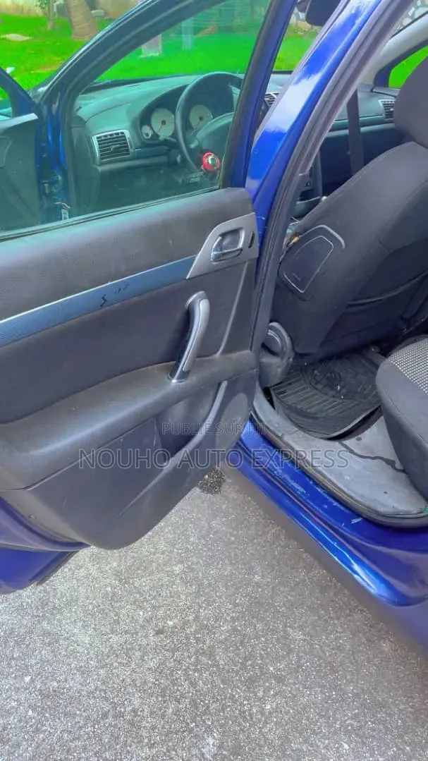 Peugeot 407 2001 Bleu