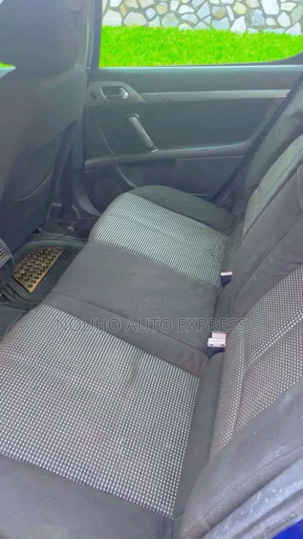 Peugeot 407 2001 Bleu