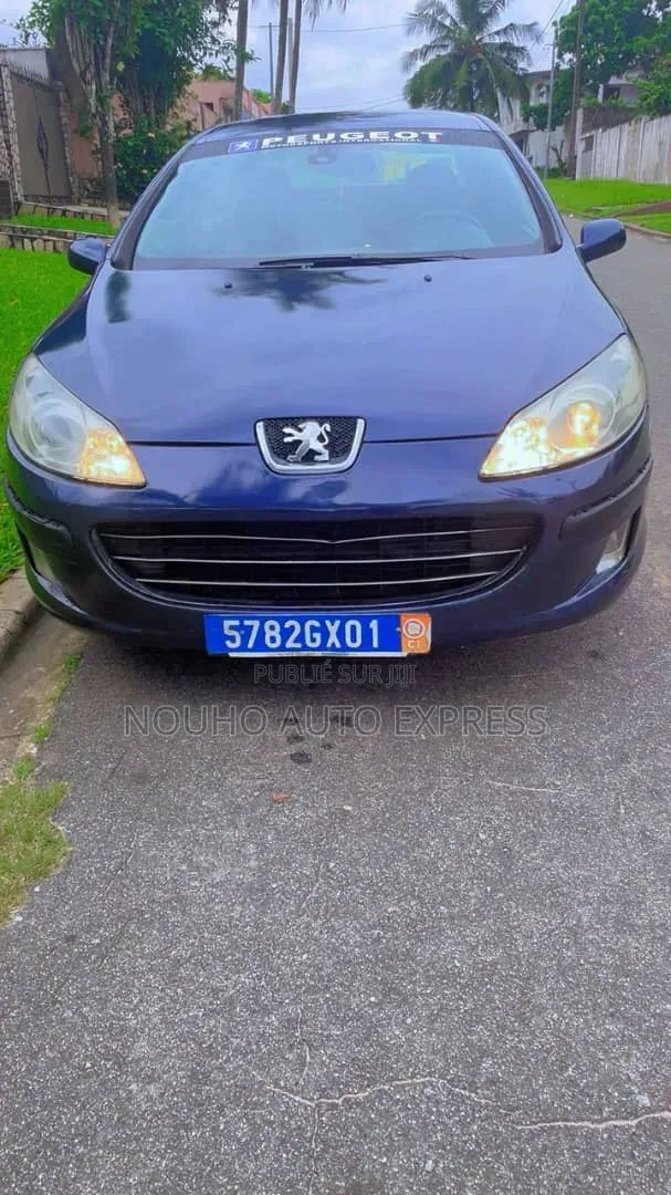 Peugeot 407 2001 Bleu