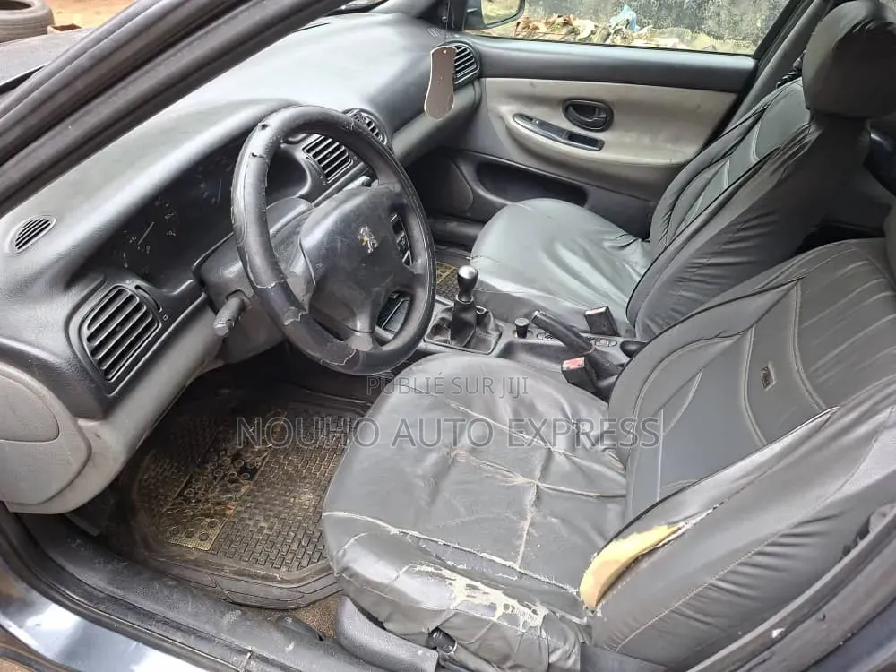 Peugeot 406 2002 Gris