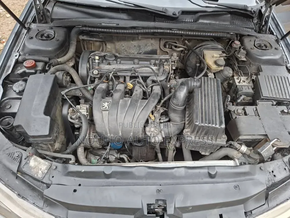 Peugeot 406 2002 Gris