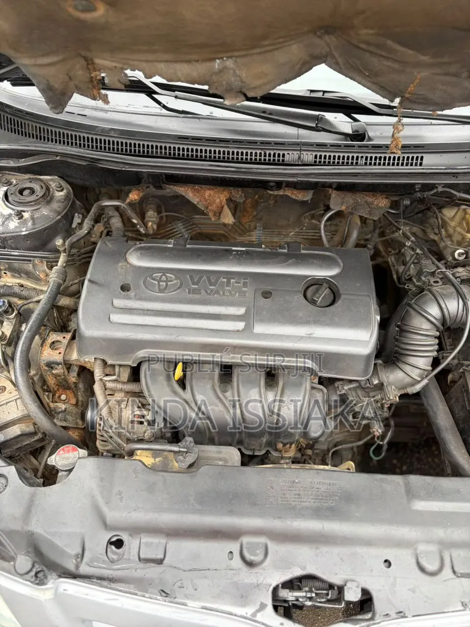 Toyota Corolla 2006 Gris