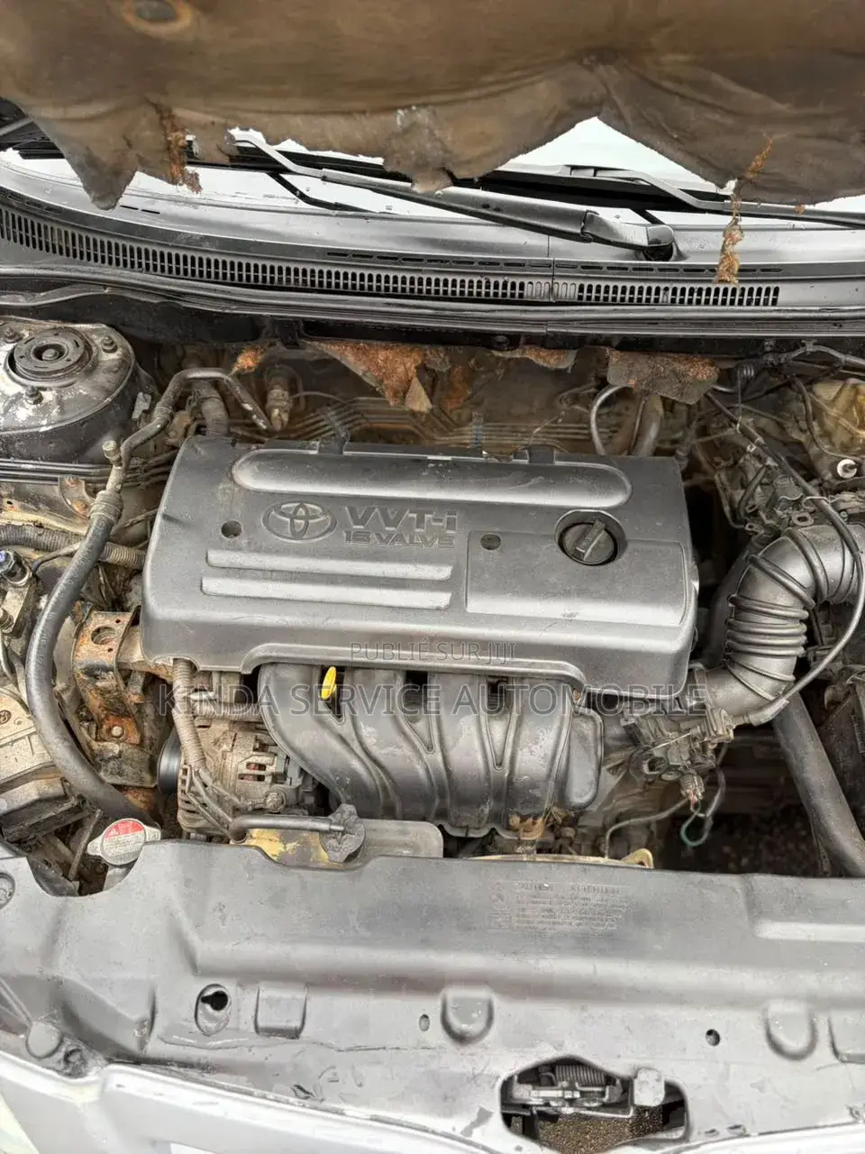 Toyota Corolla 2006 Gris