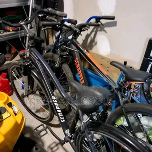 Mobilité Professionnel