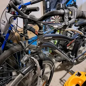 Mobilité Professionnel
