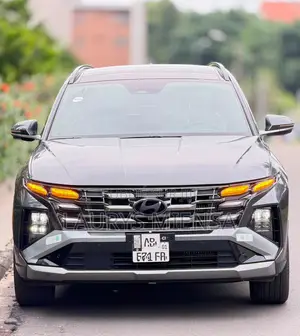 Hyundai Palissade 2023 Gris