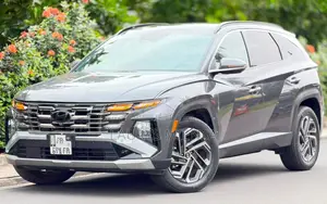 Hyundai Palissade 2023 Gris