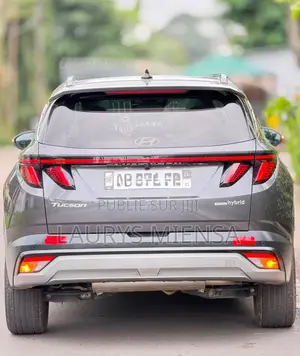 Hyundai Palissade 2023 Gris