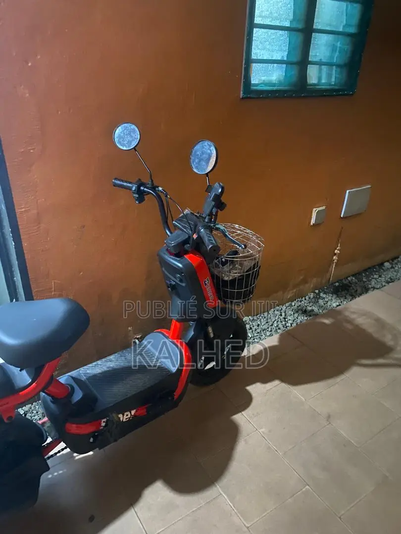 Vélo Électrique en Très Bon État