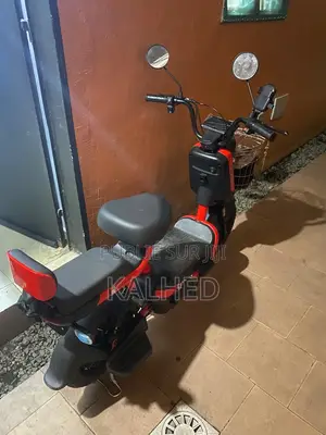 Vélo Électrique en Très Bon État