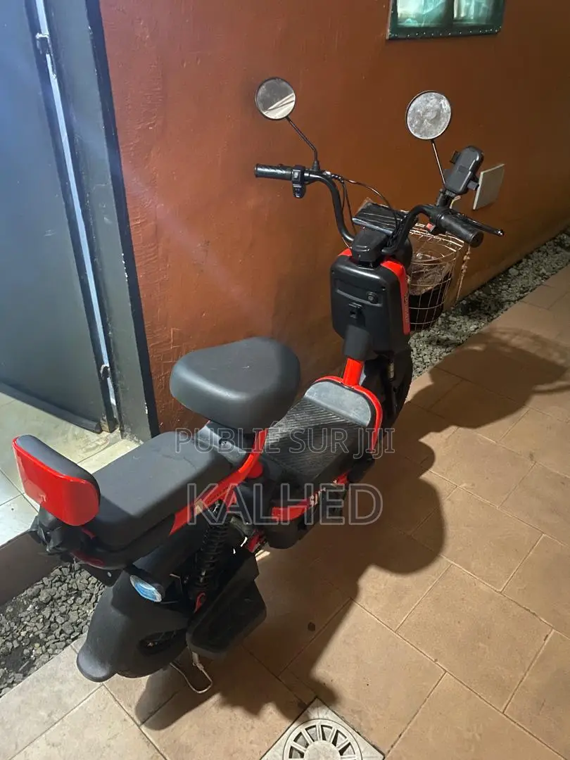 Vélo Électrique en Très Bon État