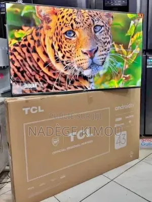 Télévision 43 Pouces