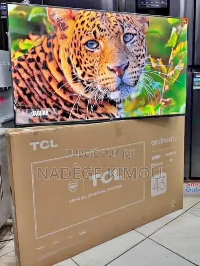 Télévision 43 Pouces