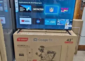 Télévision 43 Pouces