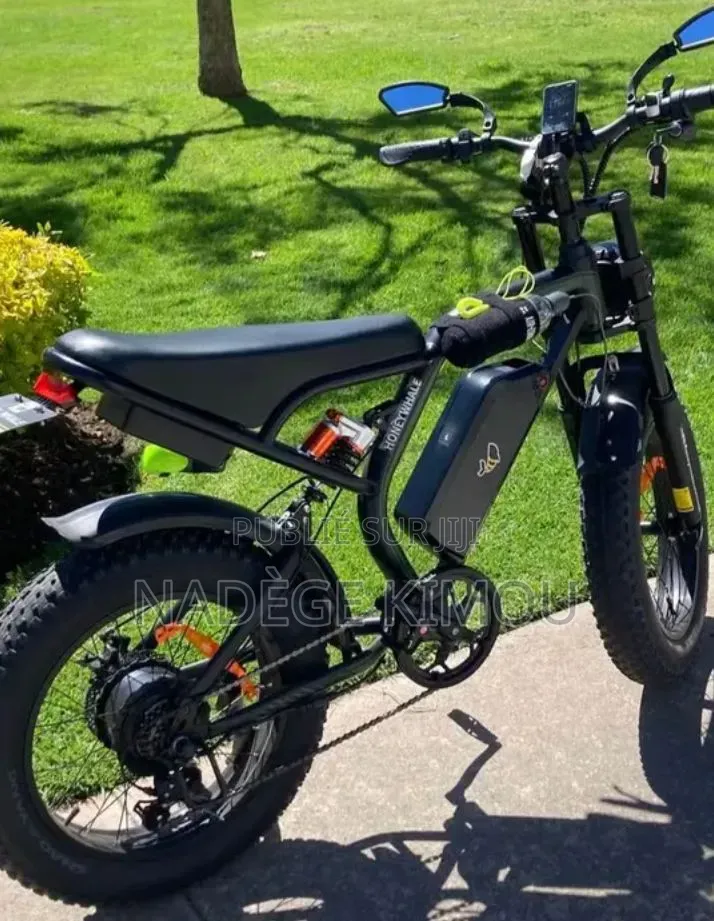 Vélo Électrique