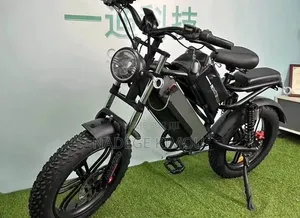 Vélo Électrique