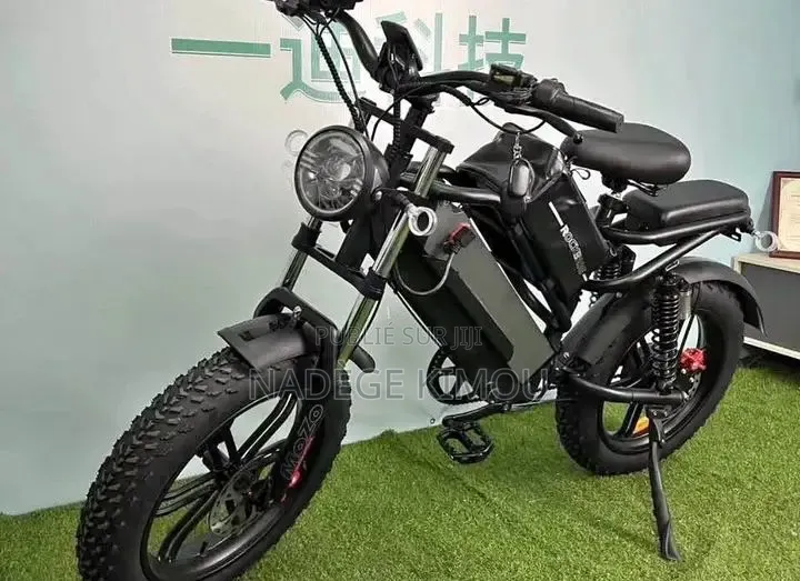 Vélo Électrique