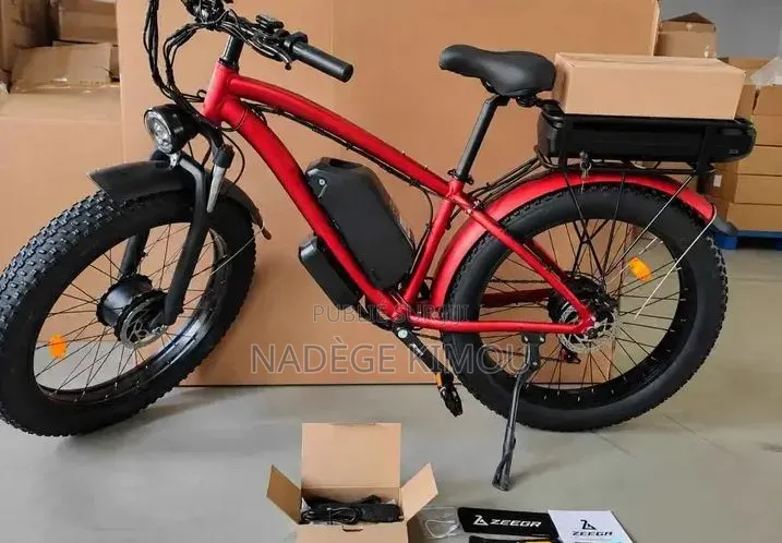 Vélo Électrique