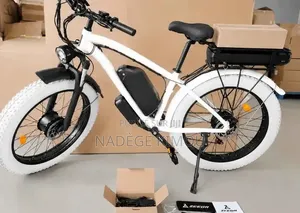 Vélo Électrique