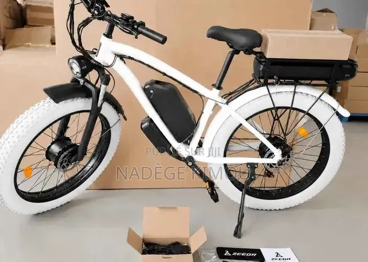 Vélo Électrique