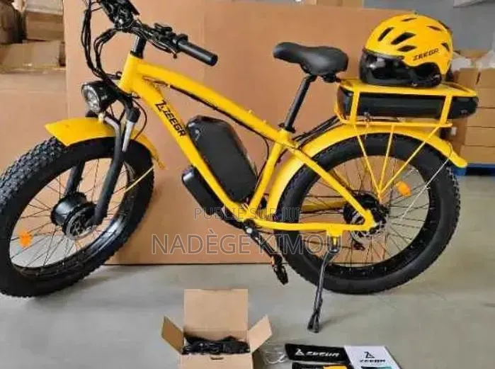 Vélo Électrique